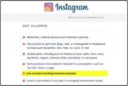 Instagram policy screenshot