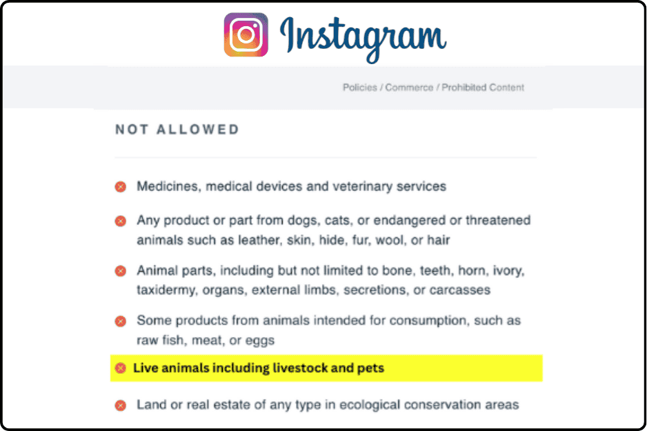 Instagram policy screenshot